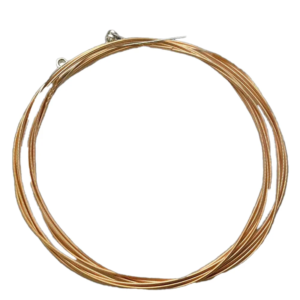 Fortaleza Acoustic Guitar Bronze 12 Strings - Image 4