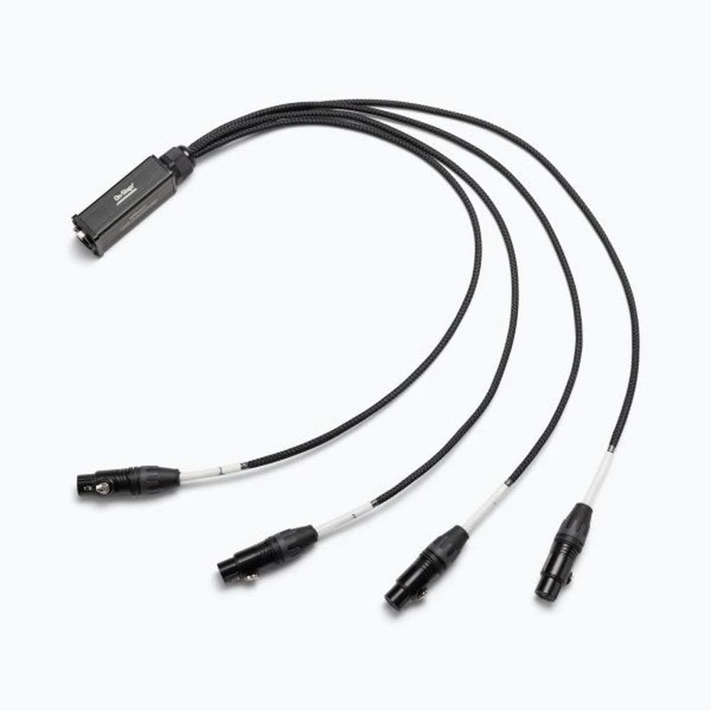 On Stage On-Stage SNK4CF Production-Grade Ethernet to 4 x XLR Snake Cable (Female)