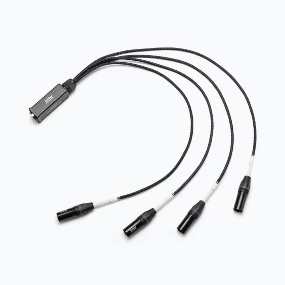 On Stage On-Stage SNK4CM Production-Grade Ethernet to 4 x XLR Snake Cable (Male)