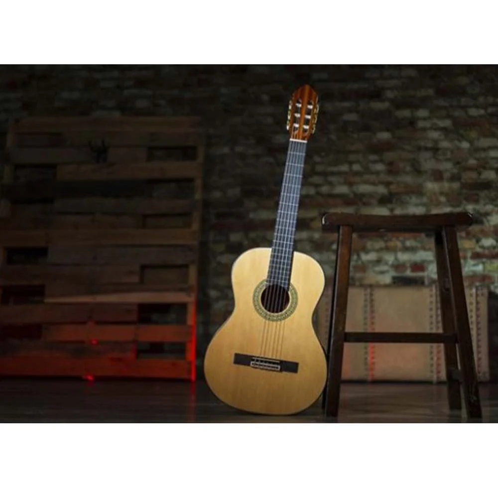 Peavey Delta Woods™ CNS-1™ Classical Nylon String Guitar - Image 11