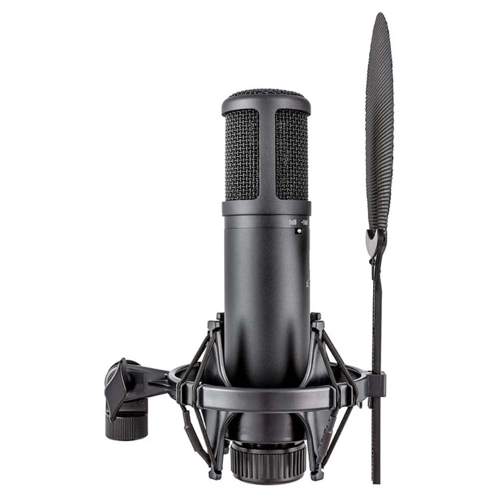 sE Electronics sE2200 Large Diaphragm Condenser Microphone with Shockmount & Filter - Image 4